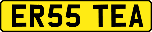 ER55TEA