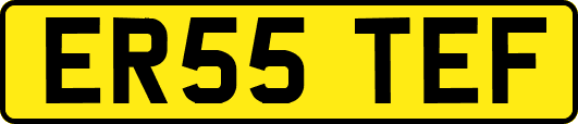 ER55TEF