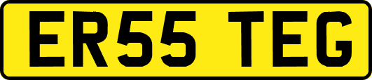ER55TEG