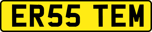 ER55TEM