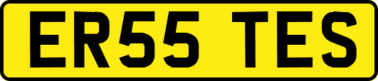 ER55TES