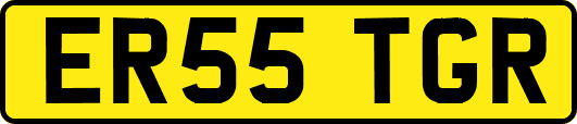 ER55TGR