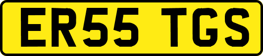 ER55TGS