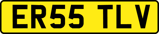 ER55TLV