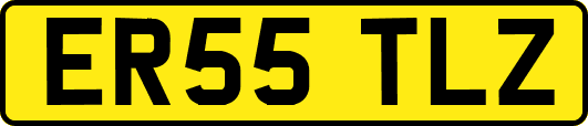 ER55TLZ