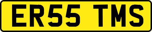 ER55TMS