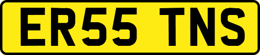 ER55TNS