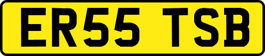 ER55TSB