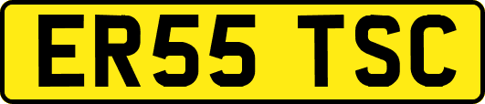 ER55TSC