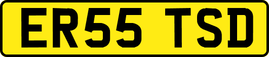 ER55TSD