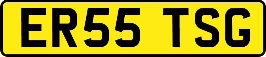 ER55TSG