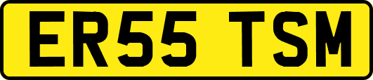 ER55TSM