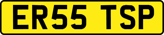 ER55TSP