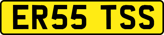 ER55TSS