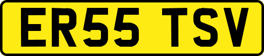 ER55TSV