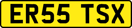 ER55TSX