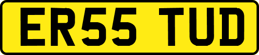 ER55TUD