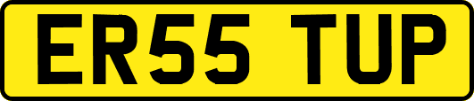 ER55TUP