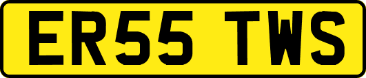 ER55TWS