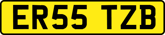 ER55TZB