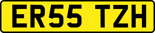 ER55TZH