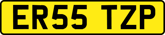 ER55TZP