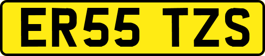 ER55TZS