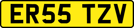 ER55TZV