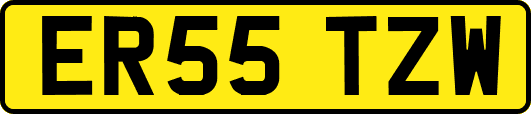 ER55TZW