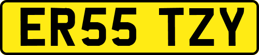 ER55TZY