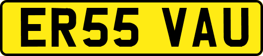 ER55VAU