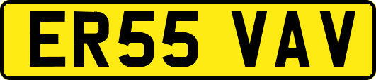 ER55VAV