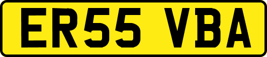 ER55VBA