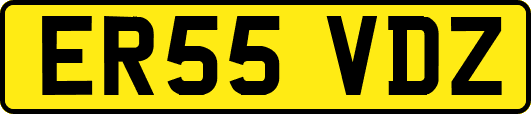 ER55VDZ