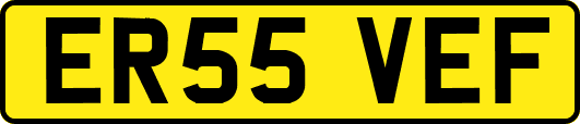 ER55VEF