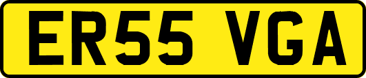 ER55VGA