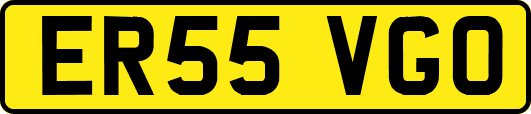 ER55VGO