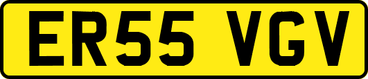 ER55VGV
