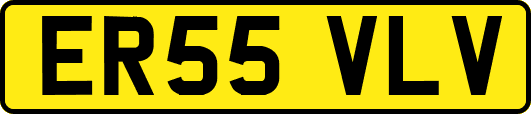 ER55VLV