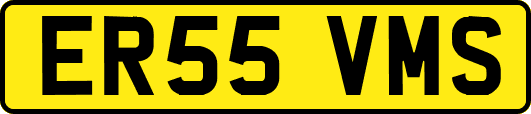 ER55VMS