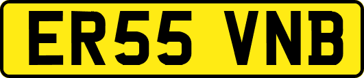 ER55VNB