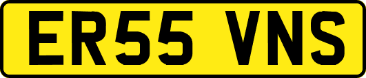 ER55VNS