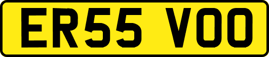ER55VOO