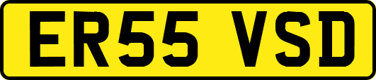ER55VSD
