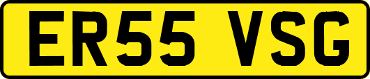 ER55VSG