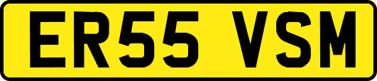ER55VSM