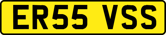 ER55VSS