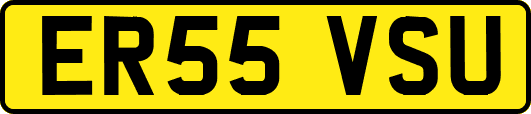 ER55VSU