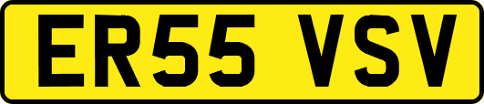 ER55VSV