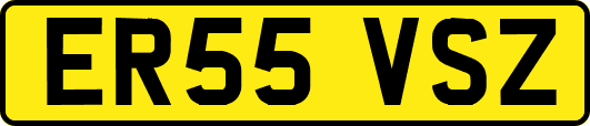 ER55VSZ